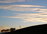 paragliding-tandem-team-suedtirol